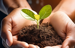 順次紹介（登録者優先でご案内）